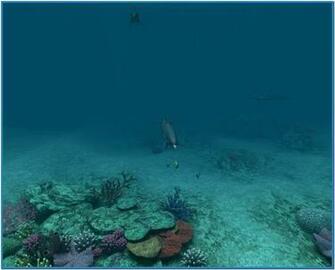 Dolphins 3d Screensaver And Animated Wallpaper Serial