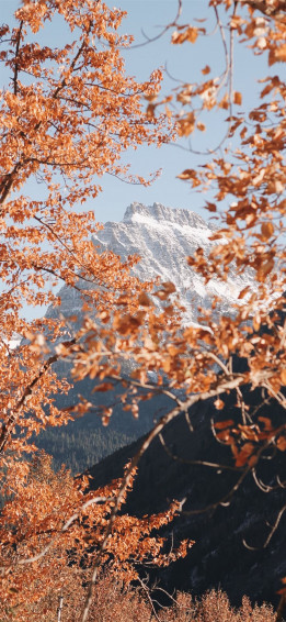 Best Ios Fall For Your Home Screen Aesthetic iPhone Wallpaper