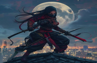 Female Ninja Wallpaper