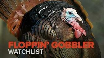 Floppin Gobbler Myoutdoortv