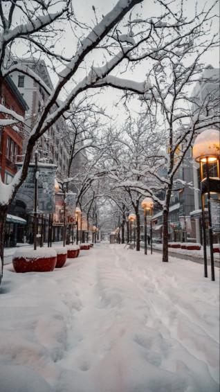 Cute Winter Wallpaper For iPhone HD