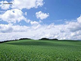 Perfect Farm Scene Wallpaper Vast Country Under Blue Sky5