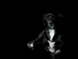 Wallpaper Black Vista