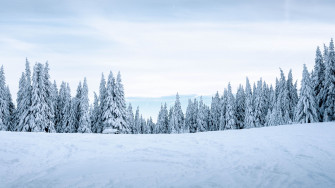 Trees Snow Landscape Twilight Winter Snowy 4k HD Wallpaper