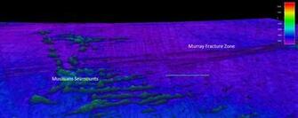 Deep Sea Symphony Exploring The Musicians Seamounts Background