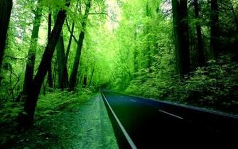 Green Forest Road Wallpaper Allwallpaper In Pc En