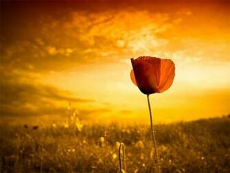 Ubuntu Wallpaper Pack Chip
