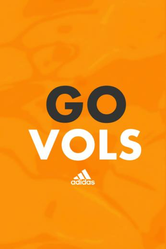 iPhone Wallpaper Volnation