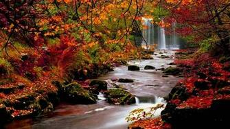 Fall Background Net
