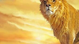 White Lion Wallpaper HD 1080p Galleryhip The