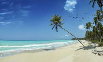 Landscape Tropical Beach Wallpaper HD