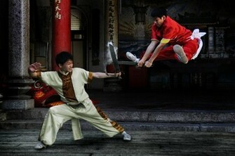 Young Generation Wushu By Dawnrosecreation