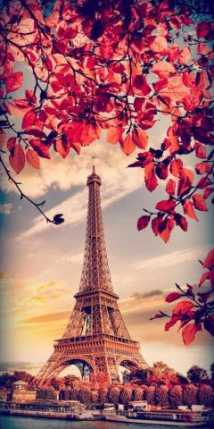 Arranged For iPhone X Beautiful Wallpaper Background Part