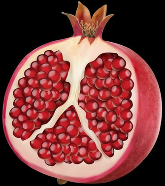 Pomegranate Cliparts Clip Art