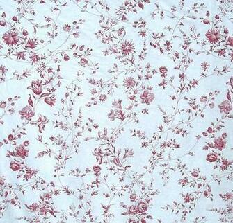 Toile Bedding