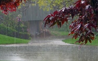 Rainy Wallpaper7