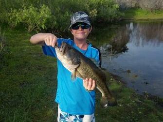 Largemouth Bass HD Wallpaper For Desktop Andrew K