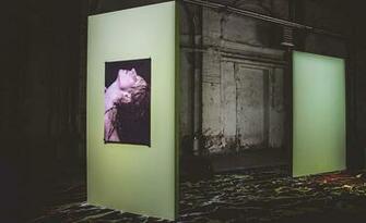 Contemporary Artists Ponder Pace At Diadora S Pitti Uomo