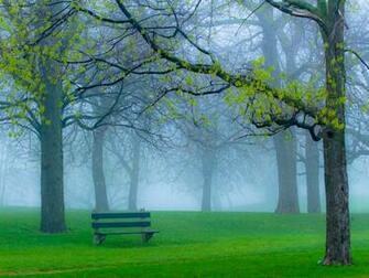 Spring Park Fog And Bench Wallpaper
