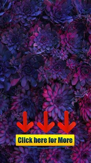 Natur Wallpaper iPhone Blumen Sign Up Button