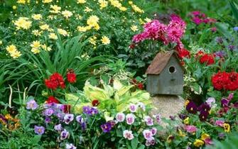 Garden Colour Flower Wallpaper HD