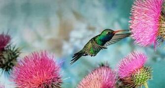 Bing Wallpaper April