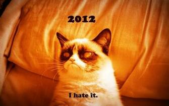 Hate Grumpy Cat Cats Zombies Wallpaper
