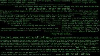 Pirate Hacking Women Computers Geek Pirates Flags Hackers Text