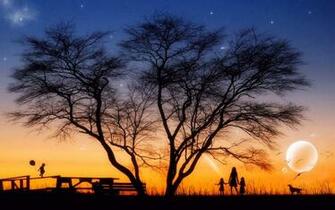 Tree Silhouette HD Wallpaper Check This