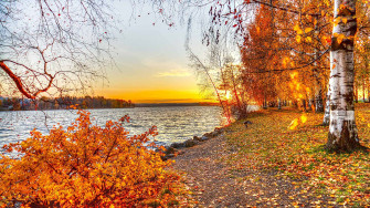Fall Desktop Wallpaper HD
