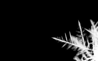Snowflake Edge Desktop Pc And Mac Wallpaper