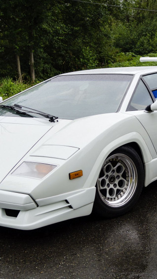 Wallpaper Lamborghini Countach White Side