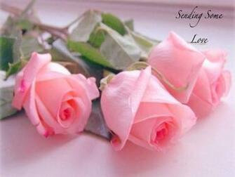 For Our Miss Kate Happy Easter To You Jackii Wallpaper