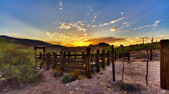 Cattle Ranch Wallpaper