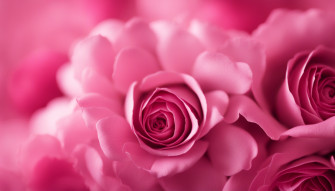 A Stunning HD Wallpaper Featuring Variety Of Different Shades Pink From The Aesthetic Gallery Should Incorporate Soft Pastel Tones Vibrant Pinks And Elegant Floral Elements To Evoke Sense Serenity Beauty Let Your Creativity Shine As You Design Visually Captivating That Will Inspire Delight Ers