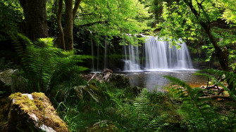 Full HD Nature Wallpaper 1080p