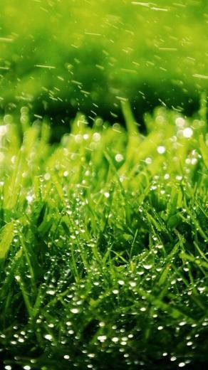 Nature iPhone Wallpaper HD