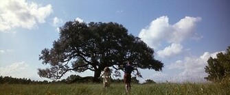 Forrest Gump Image