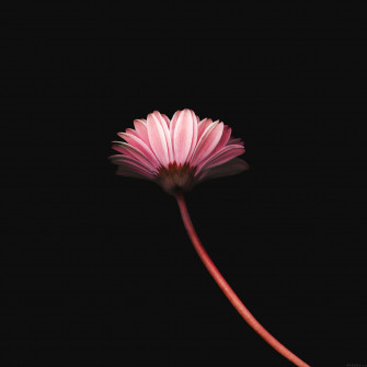 Simple Minimalist Wallpaper