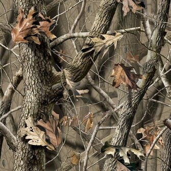 Realtree Camo Wallpaper HD Hardwoods