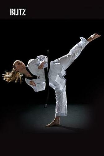 The Martial Arts Wallpaper From Blitz