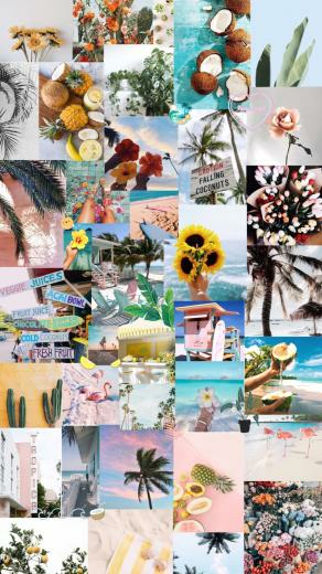 Tropical Aesthetic Background iPhone Wallpaper