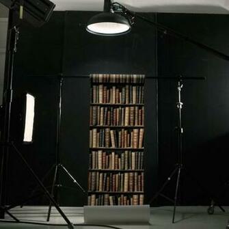Bookcase Wallpaper The Green Head