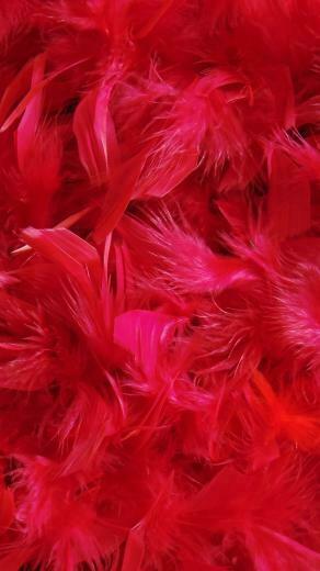 Feathers Down Red Wallpaper