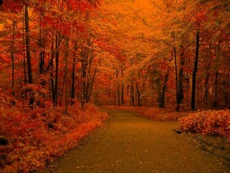 Scenic Background And Codes For Friendster Xanga Or Any