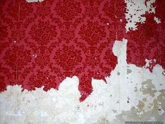 Torn Wallpaper Photo By Humpo Photobucket