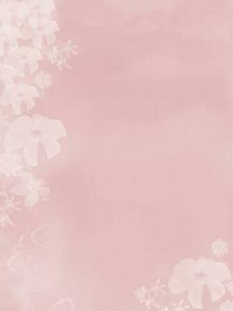 Pink Soft Background By Creativestock