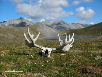 Alaska Desktop Background Outdoor Adventures