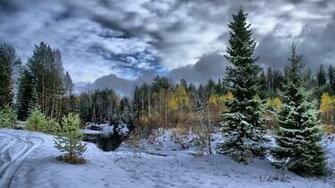 Scenic Winter Background Snow Windows