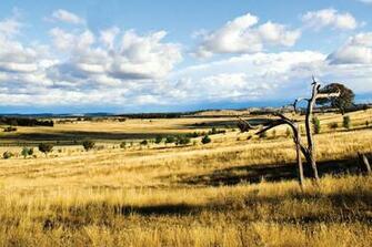 Australian Rural Leadership Meat Processor Corporation